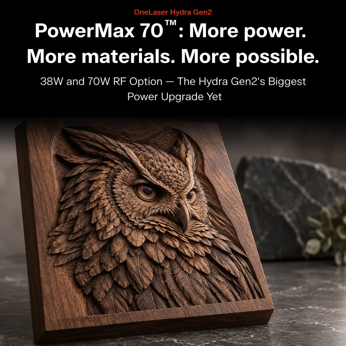 A carved wooden plaque featuring a detailed owl head relief, shown at an angle on a dark tabletop with a blurred stone and plant in the background. Large promotional text at the top reads 'PowerMax 70™: More power.